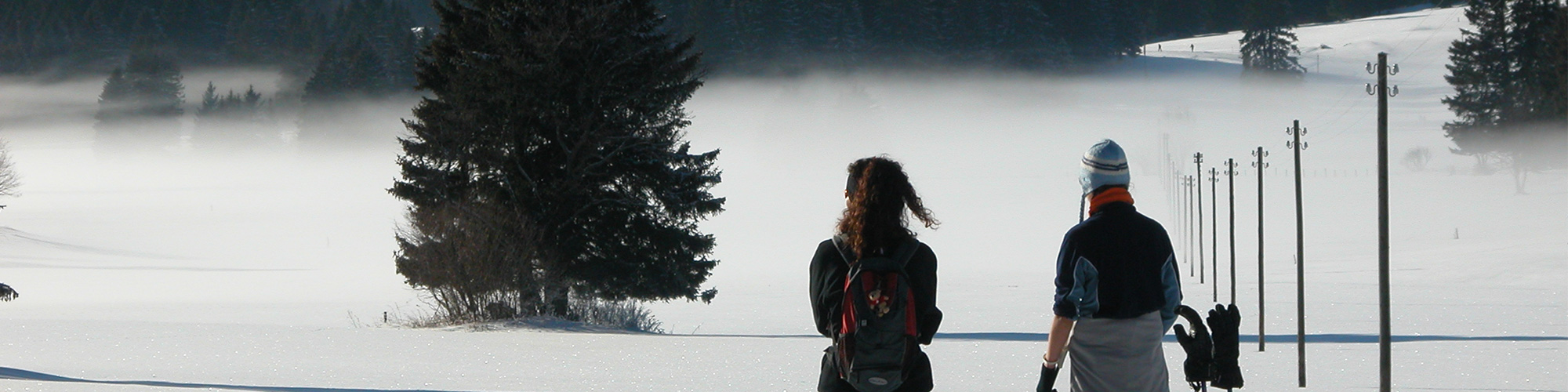image de pistes de ski de fond