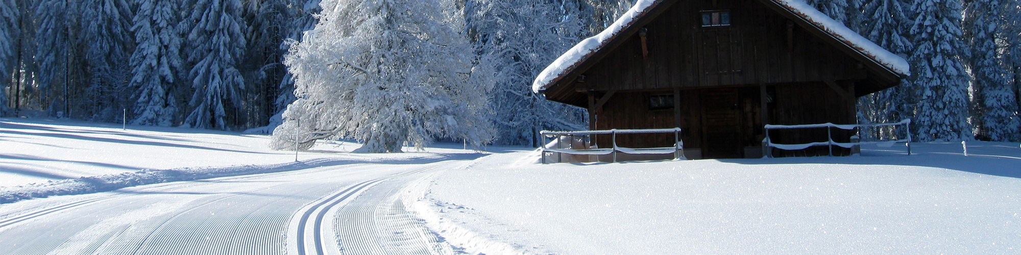 image de pistes de ski de fond