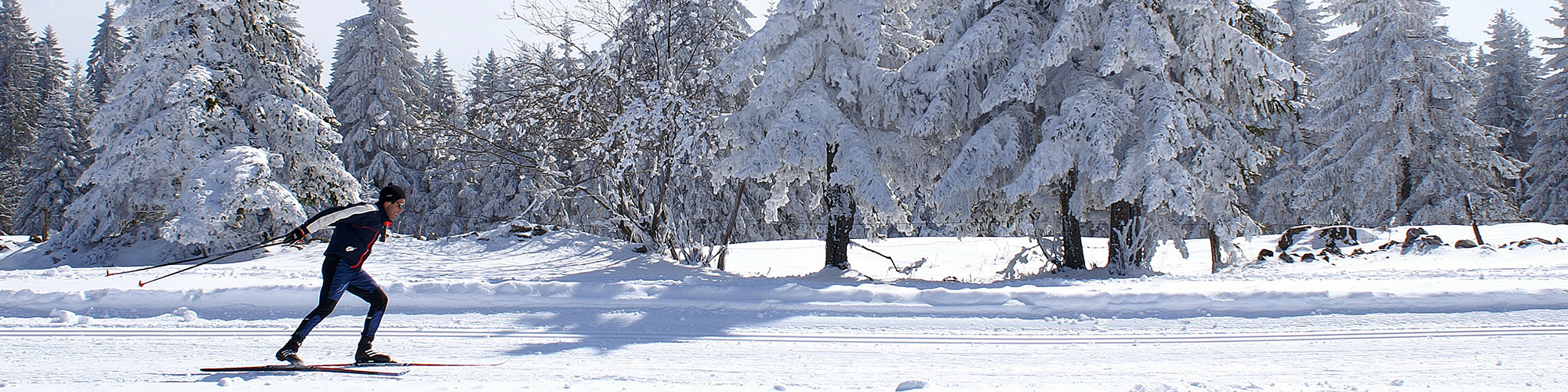 image de pistes de ski de fond